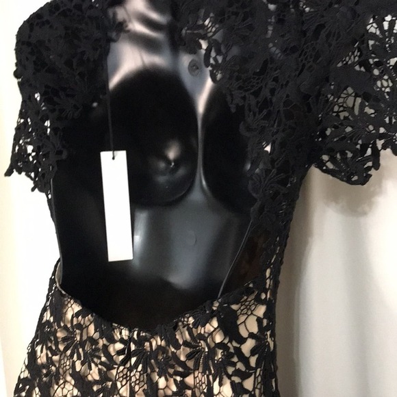 NWT NSR Nude slip with Black lace overlay Short sleeve MIDI dress size Medium - Picture 8 of 9